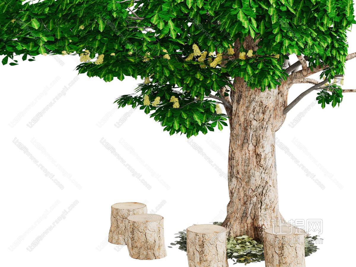 结满果实的大树树桩