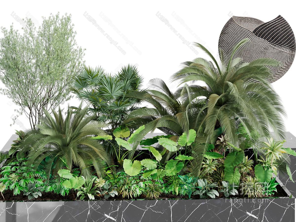 花坛里的植物园艺小品