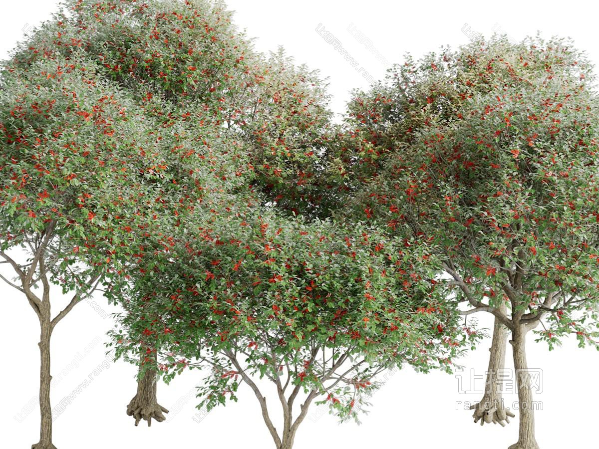现代花树