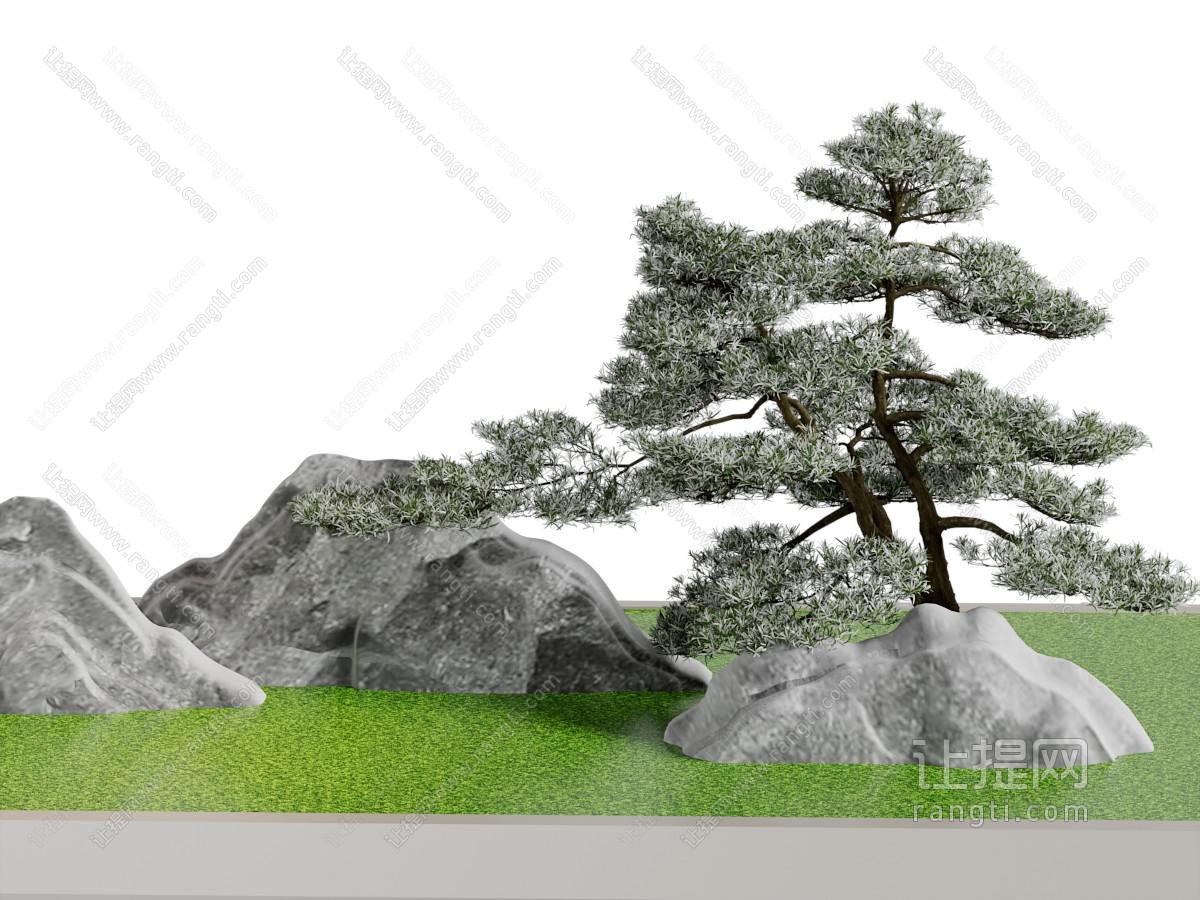 现代松树、石头景观园艺小品