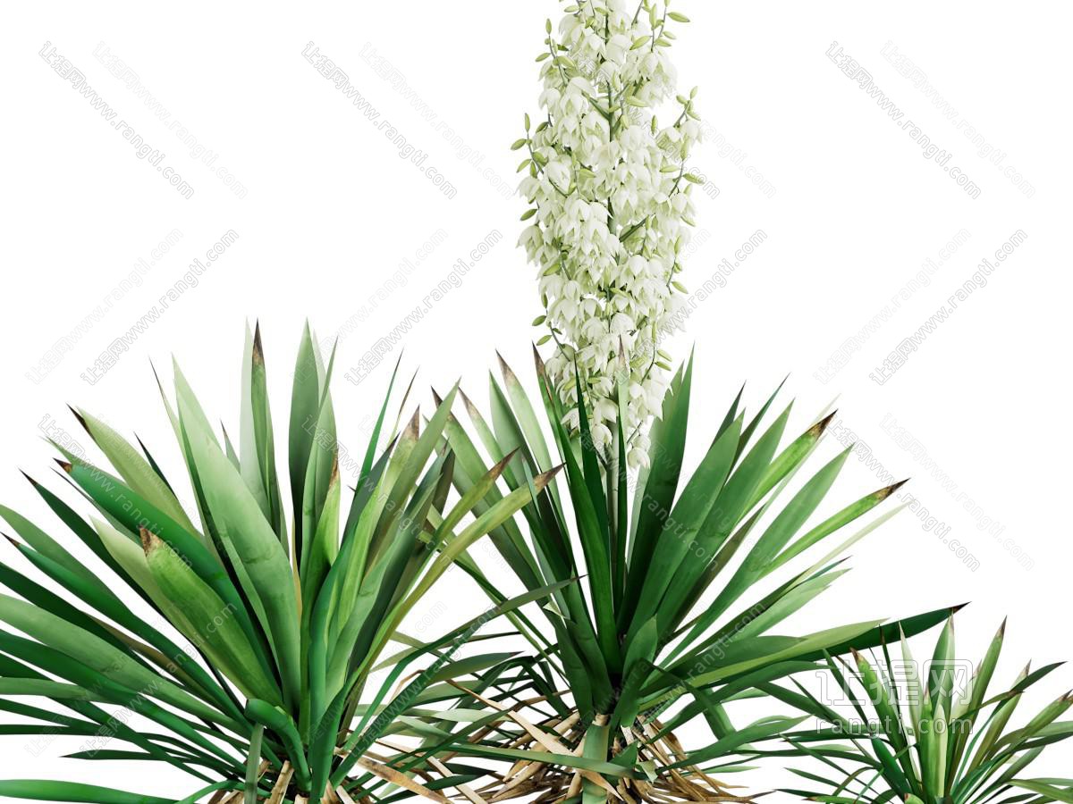 现代花草绿植
