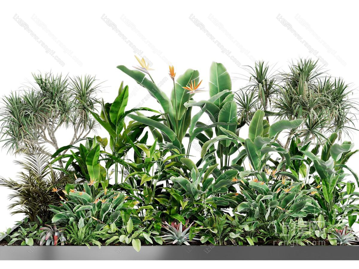 现代花坛植物景观园艺小品