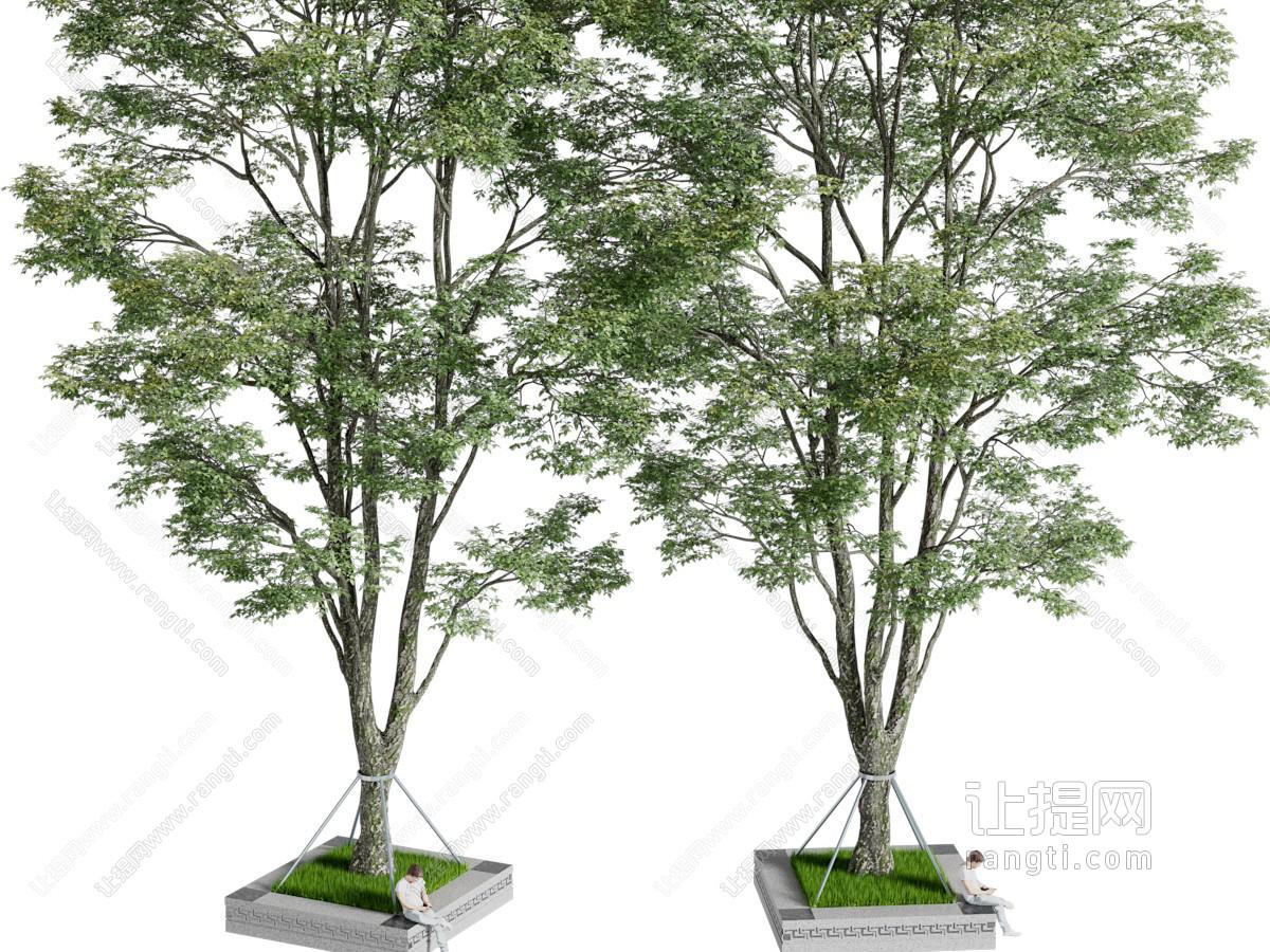 现代花坛里道旁树木