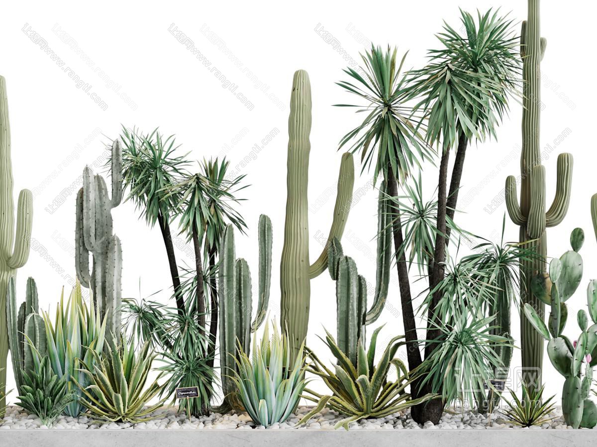 多肉植物景观园艺小品