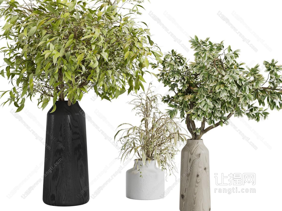 现代花瓶花卉