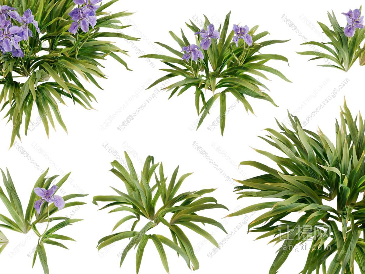 现代花草绿植