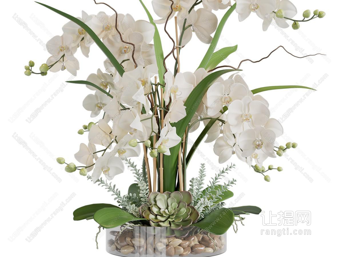 现代蝴蝶兰花瓶花卉