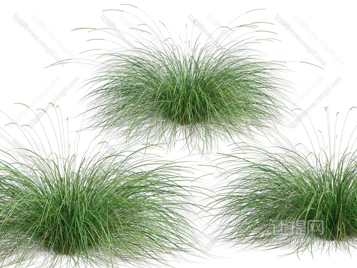 现代花草绿植
