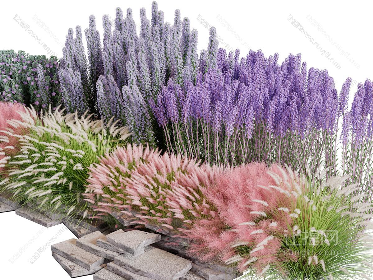 现代粉黛、薰衣草花草绿植