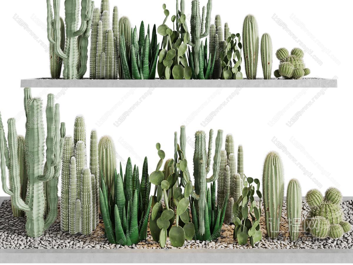 现代多肉植物景观园艺小品