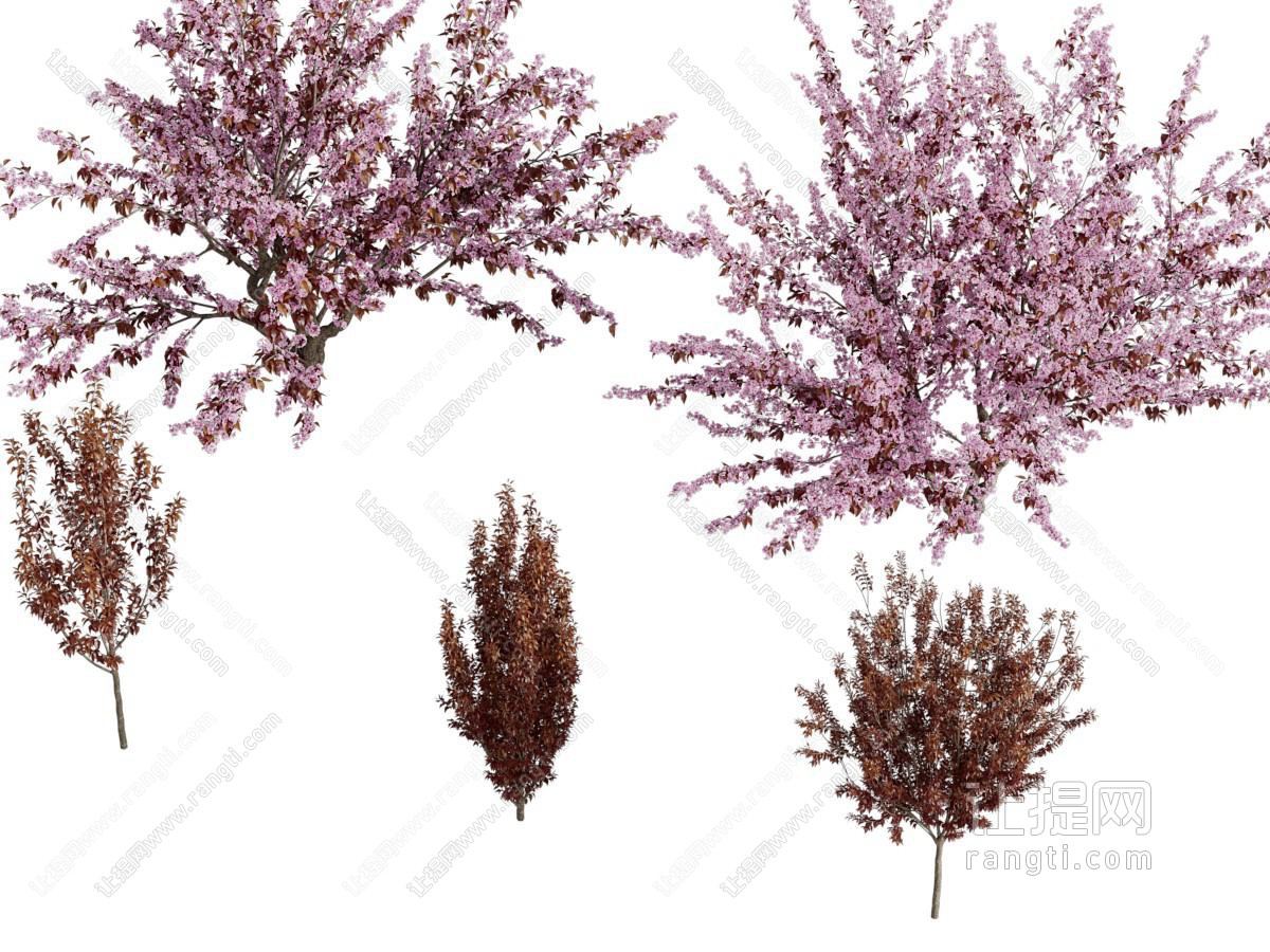 现代花树