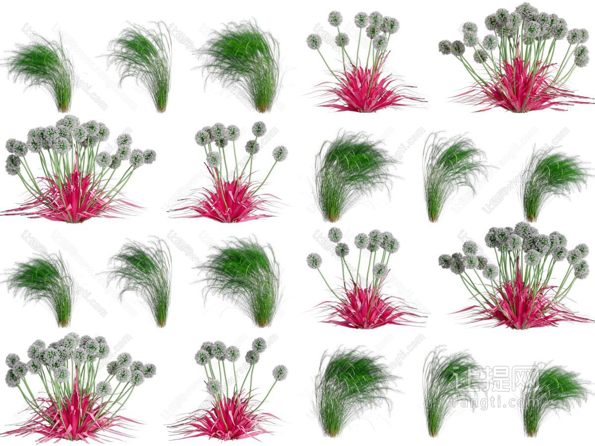 现代花草绿植