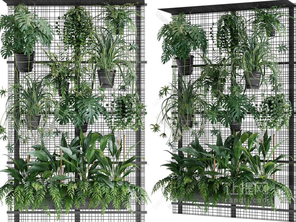现代植物墙