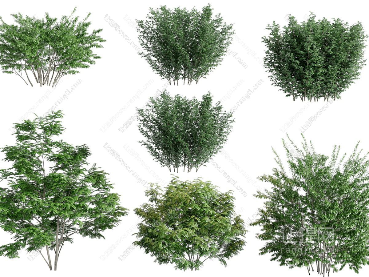 现代花草绿植