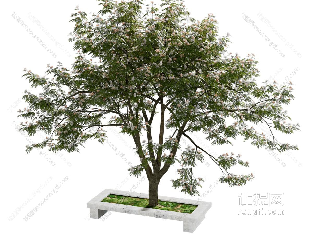 现代花坛花树