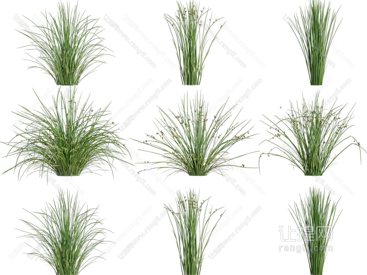 现代花草绿植