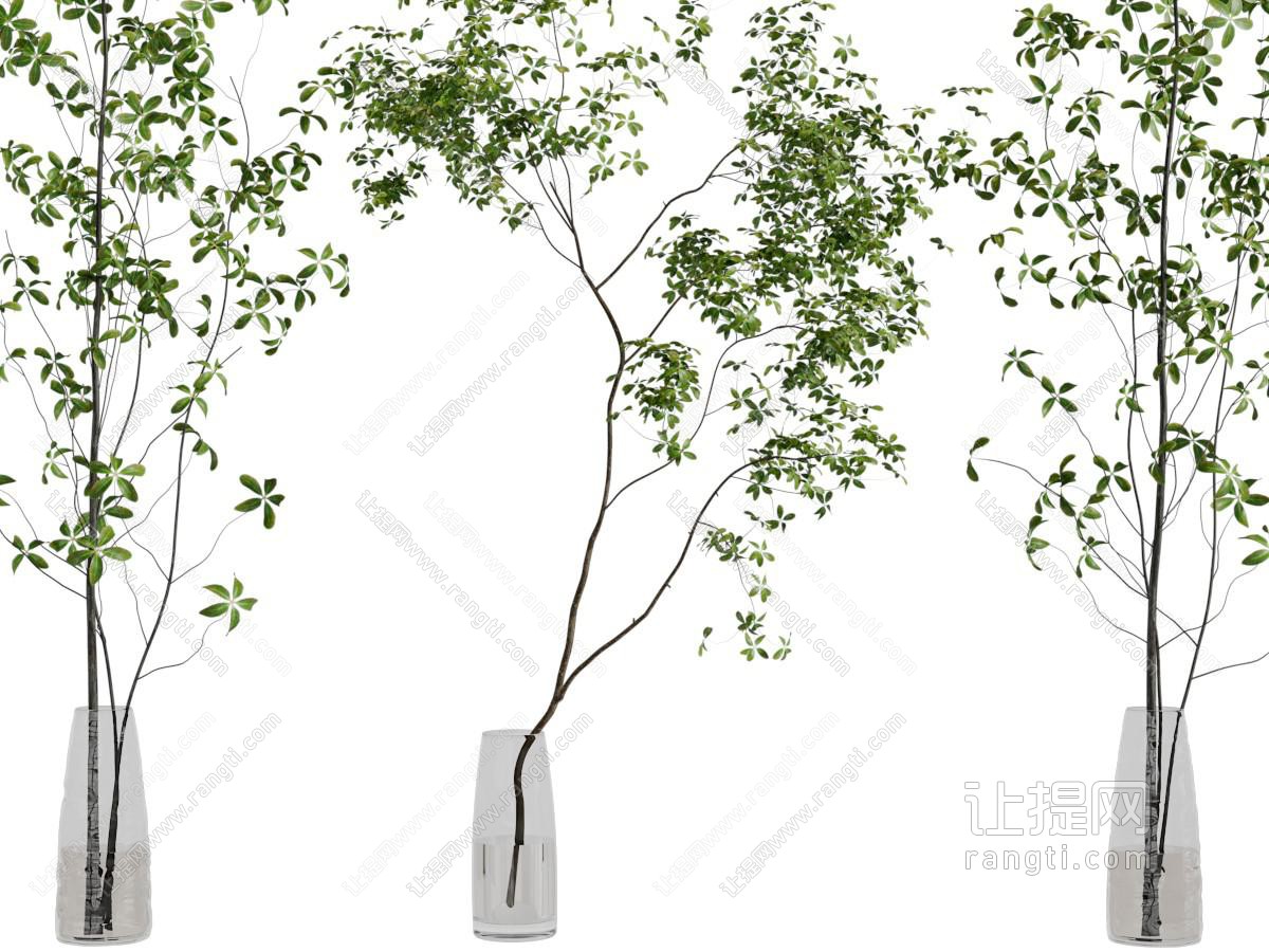 现代花瓶花卉