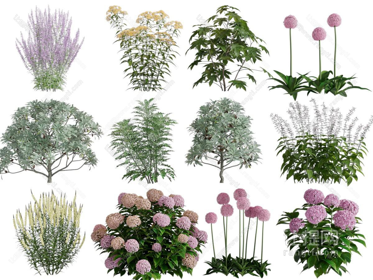 现代花草绿植
