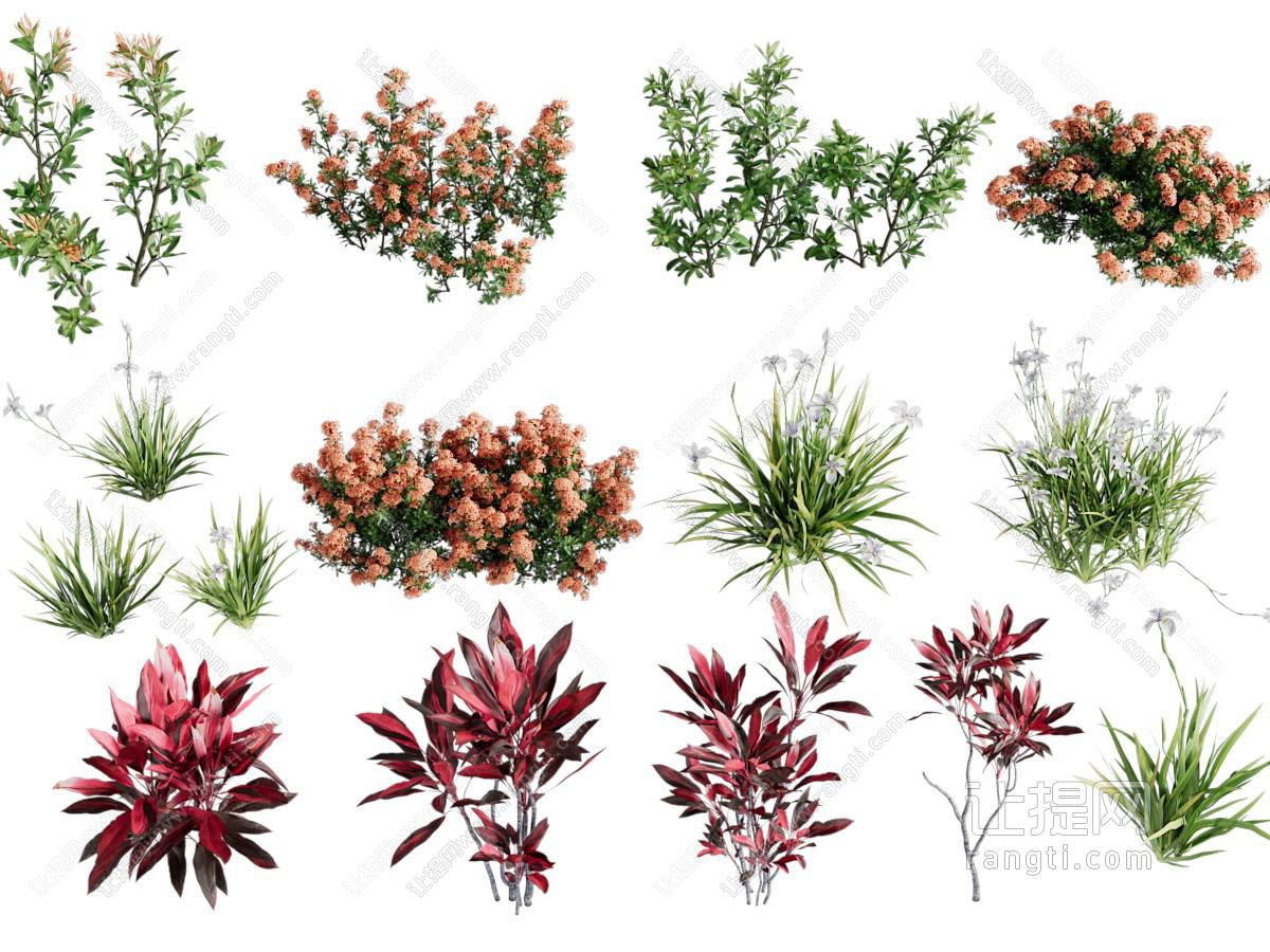 现代花草绿植