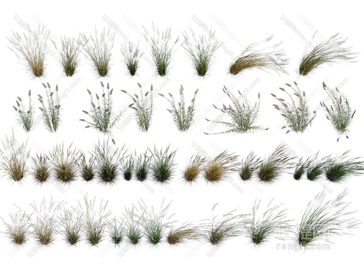 现代花草绿植