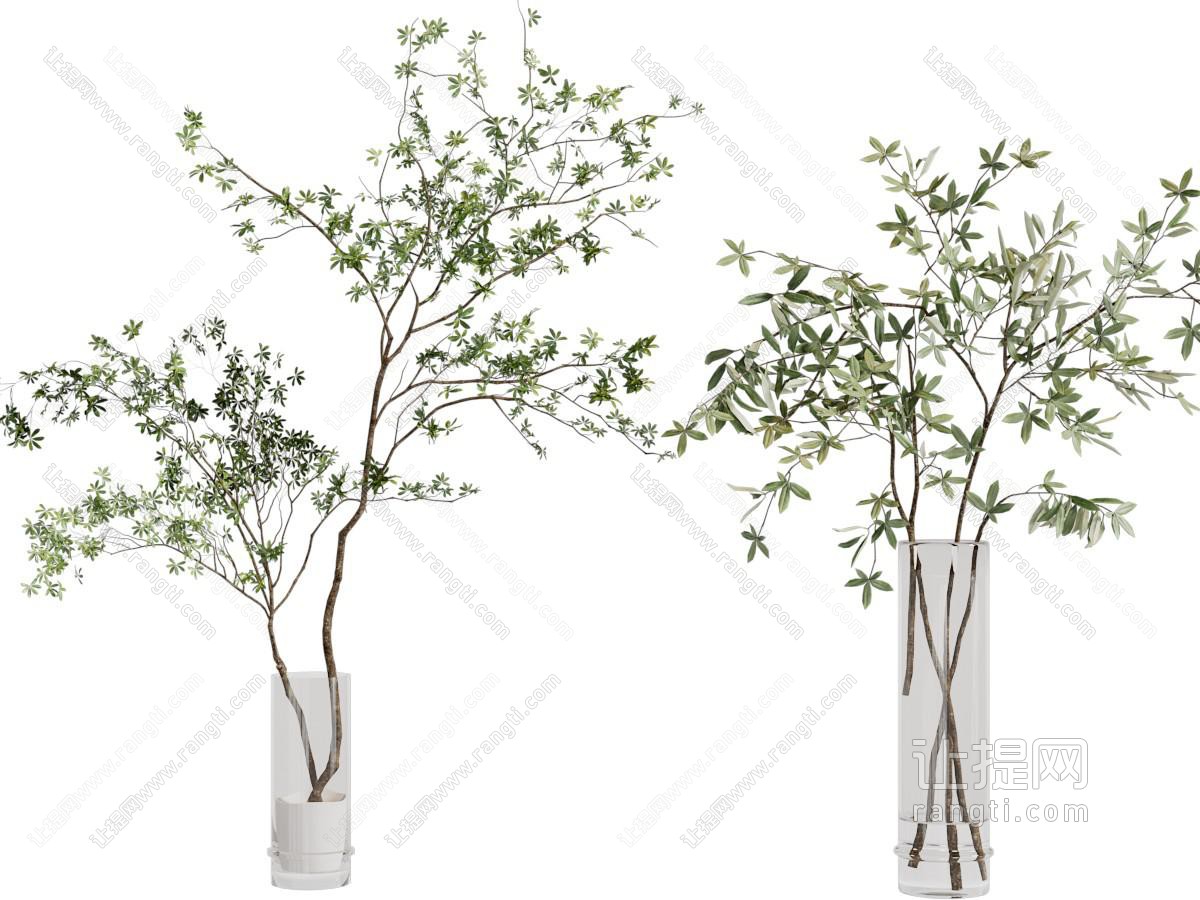 现代花瓶花卉