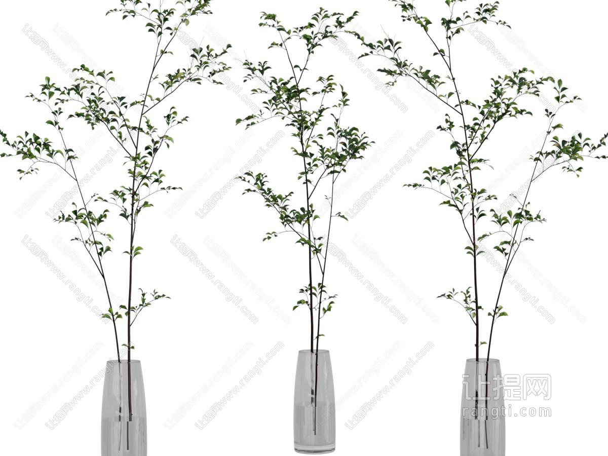 现代花瓶花卉