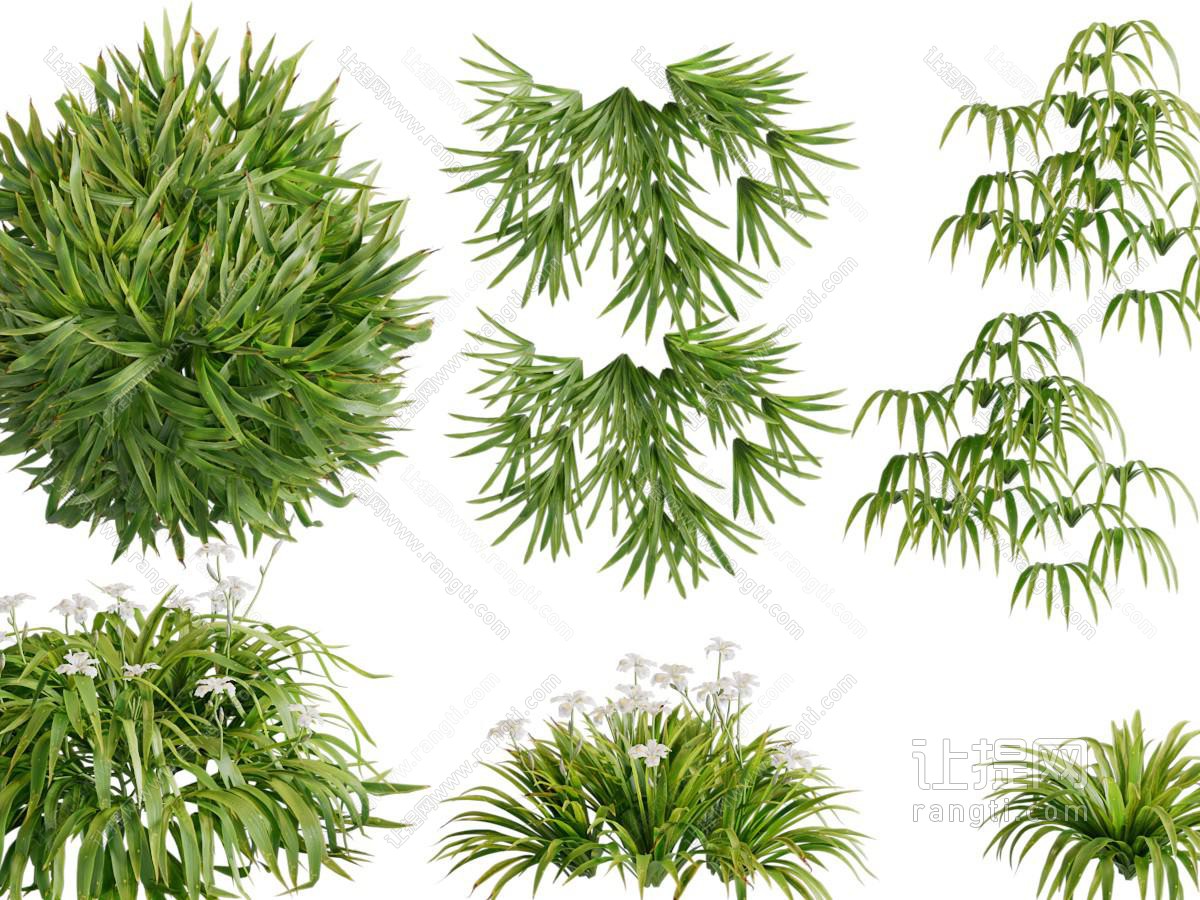 现代花草绿植