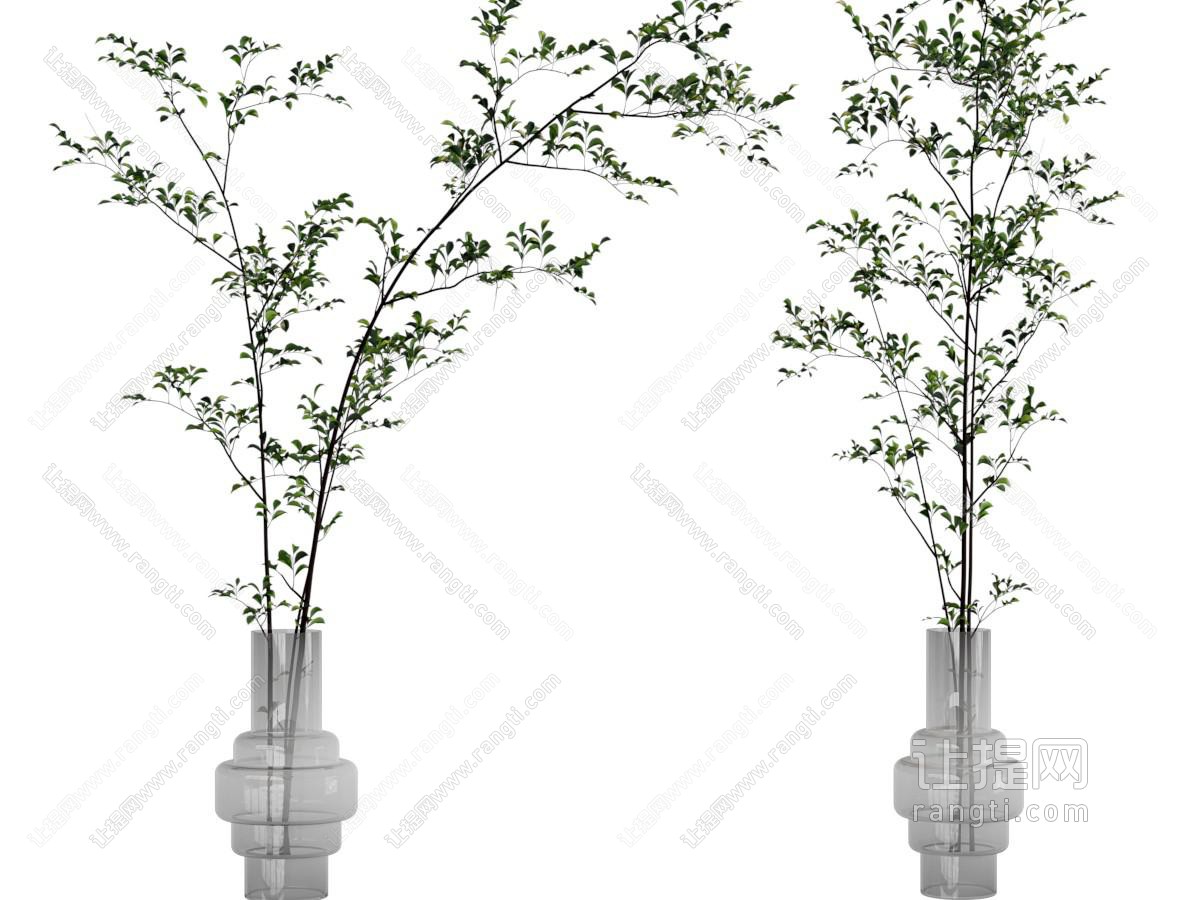 现代花瓶花卉
