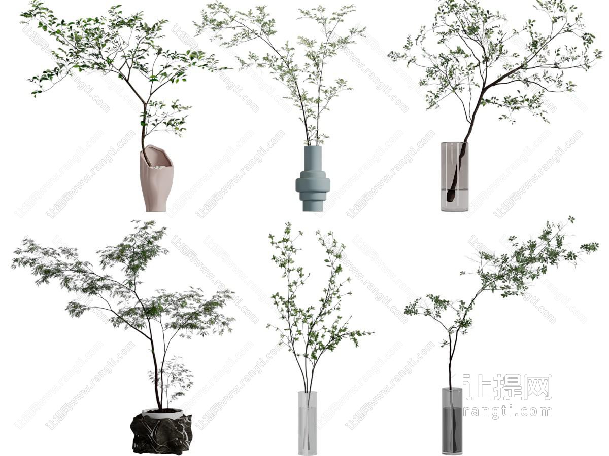 现代花瓶花卉