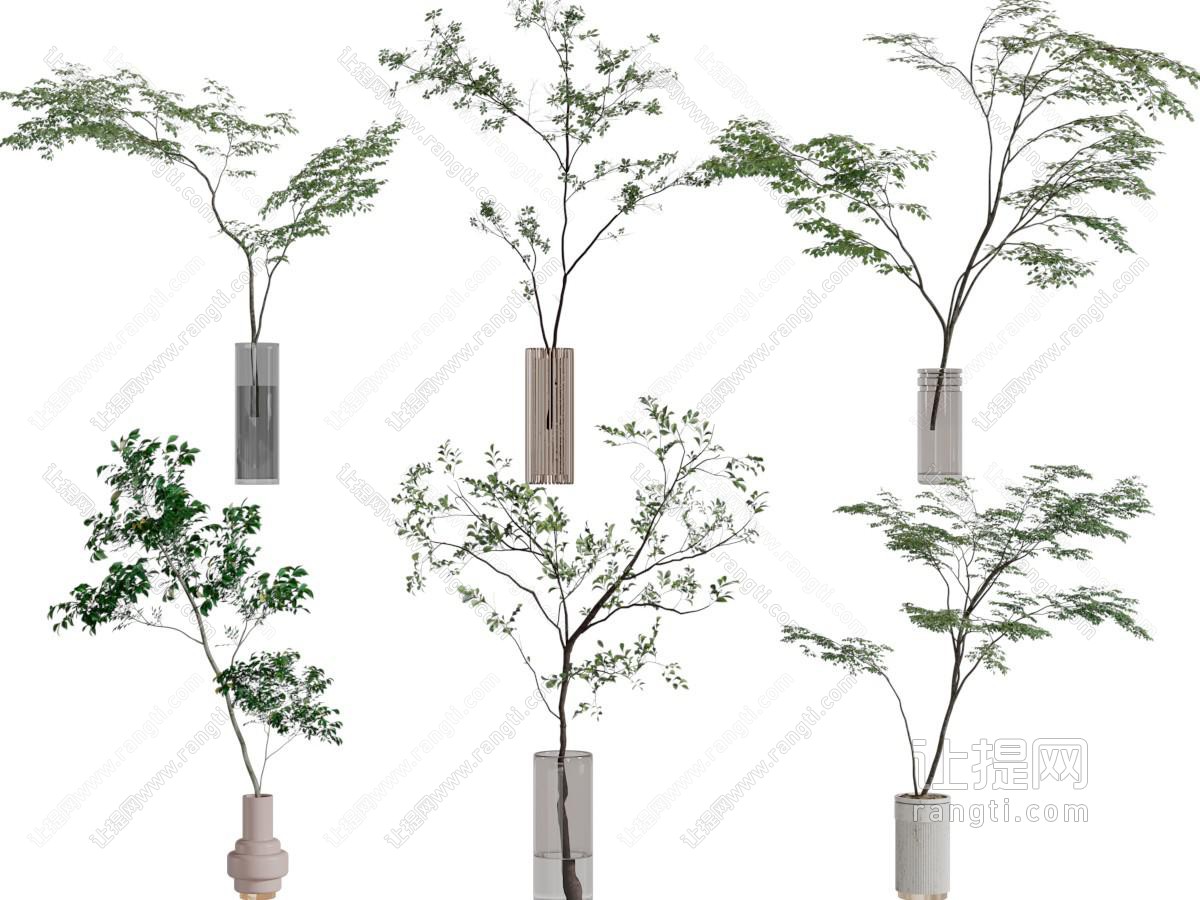 现代花瓶花卉