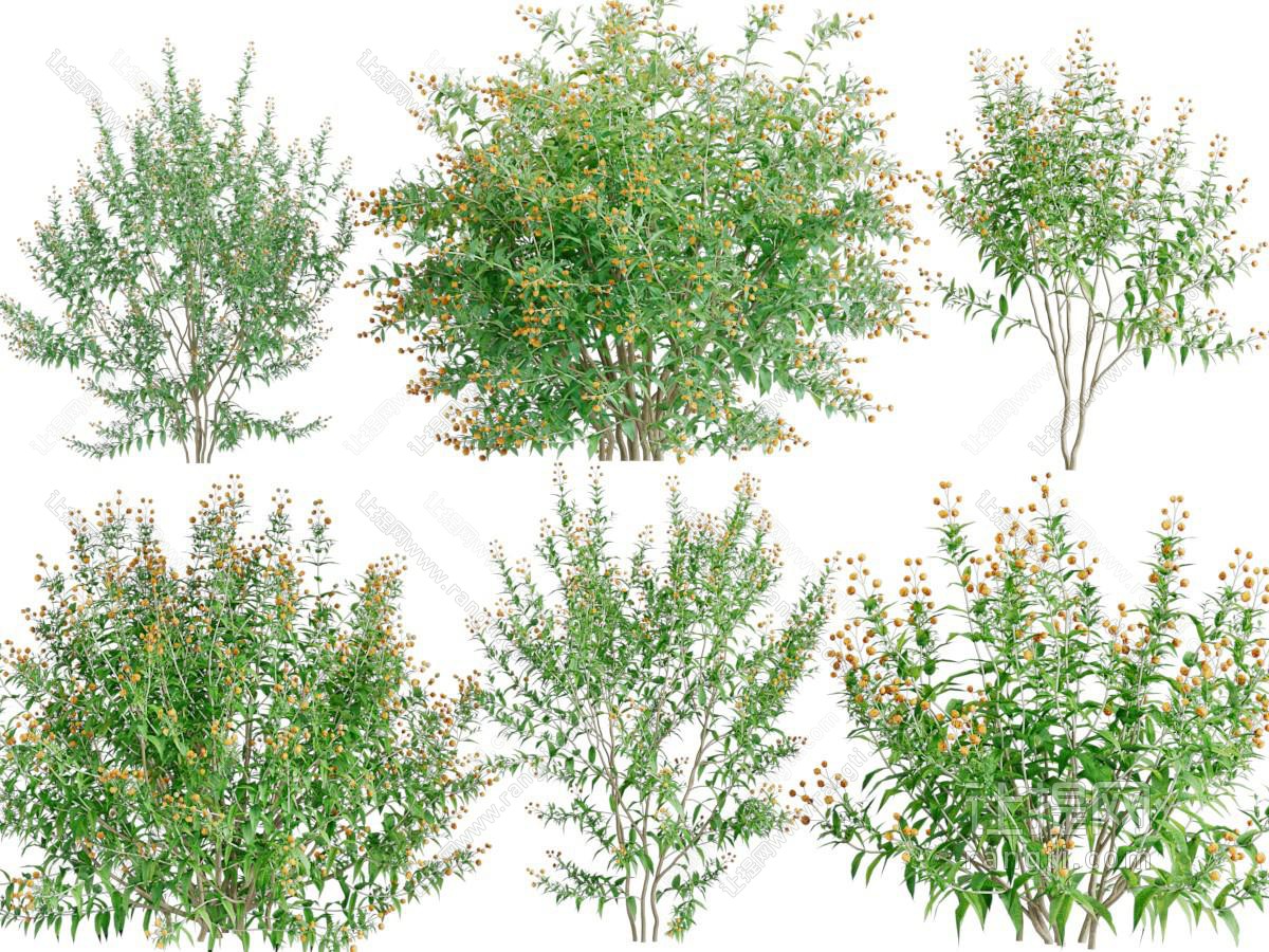 现代花草绿植