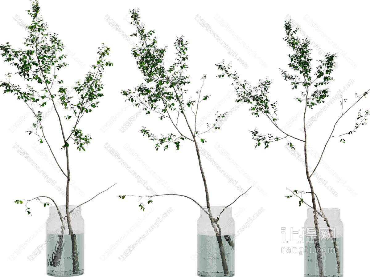 现代玻璃花瓶树枝