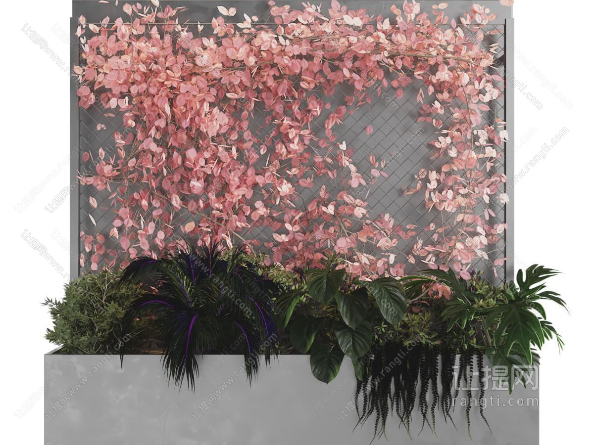 现代户外盆栽植物、藤蔓植物墙