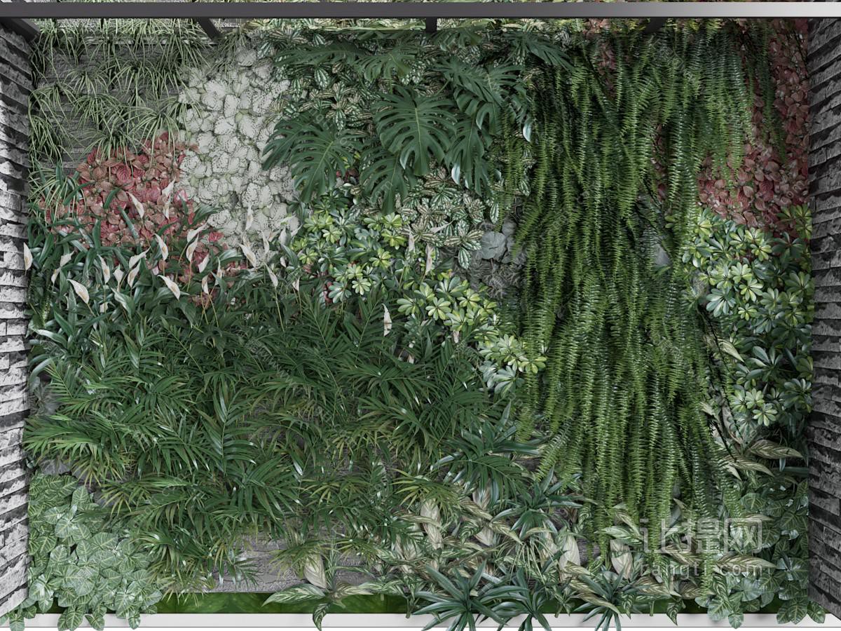 现代种植蕨类植物的植物墙