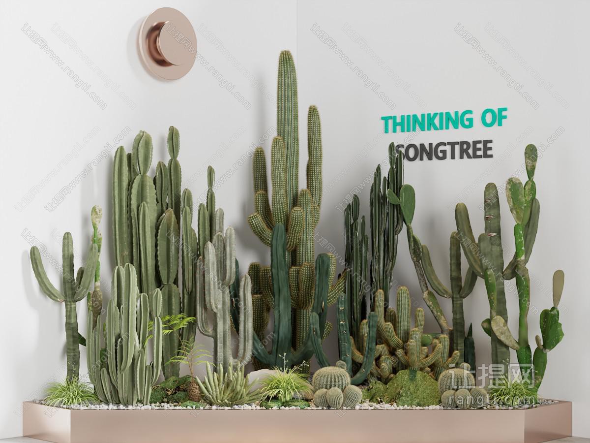 现代仙人掌多肉盆栽植物景观小品