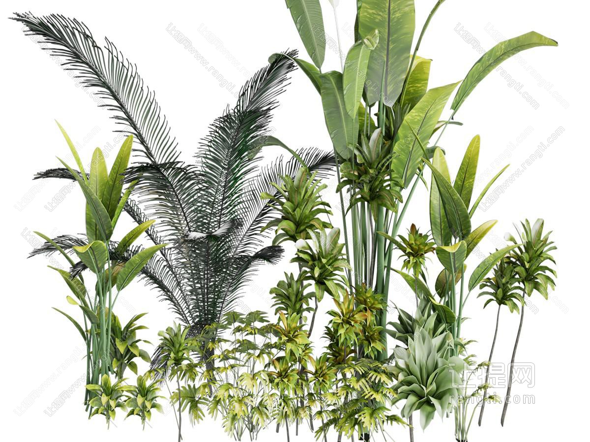 现代花草植物