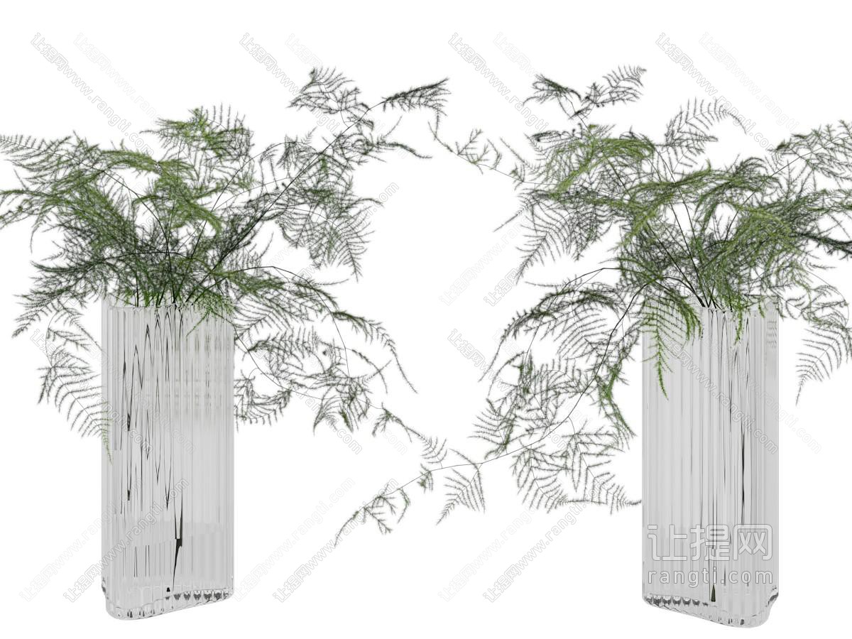 现代条纹玻璃花瓶文竹植物