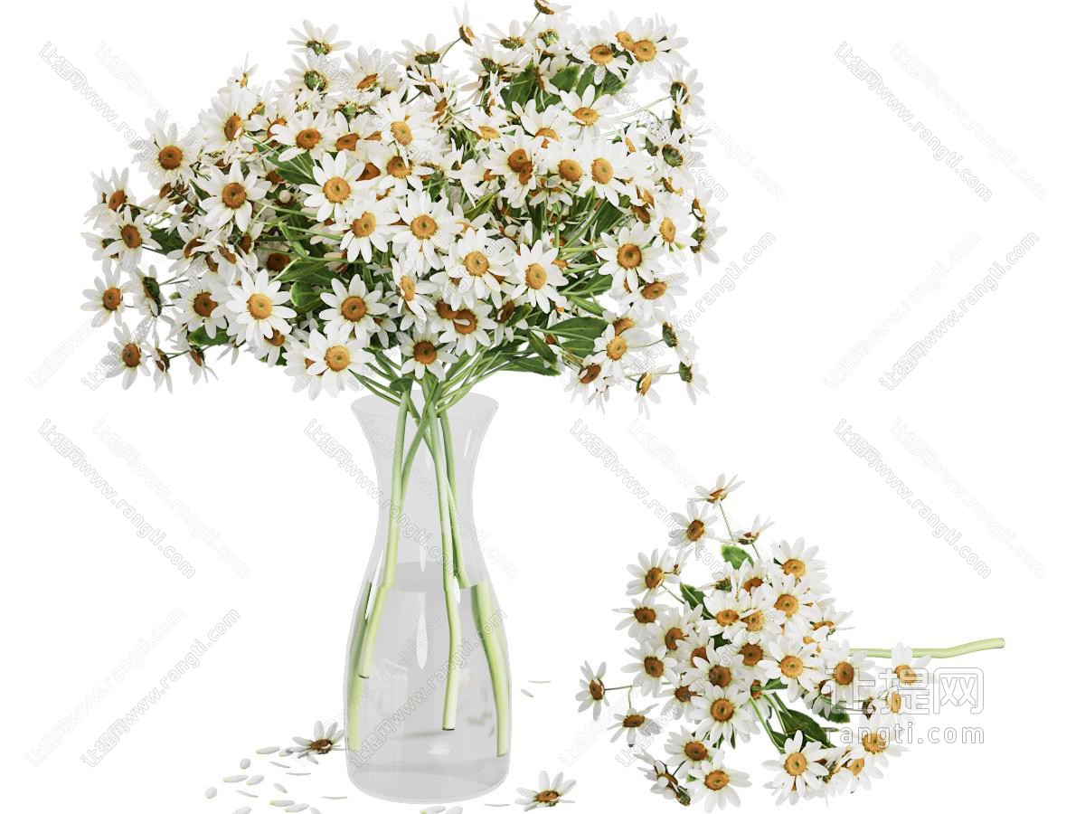 现代雏菊玻璃花瓶花卉
