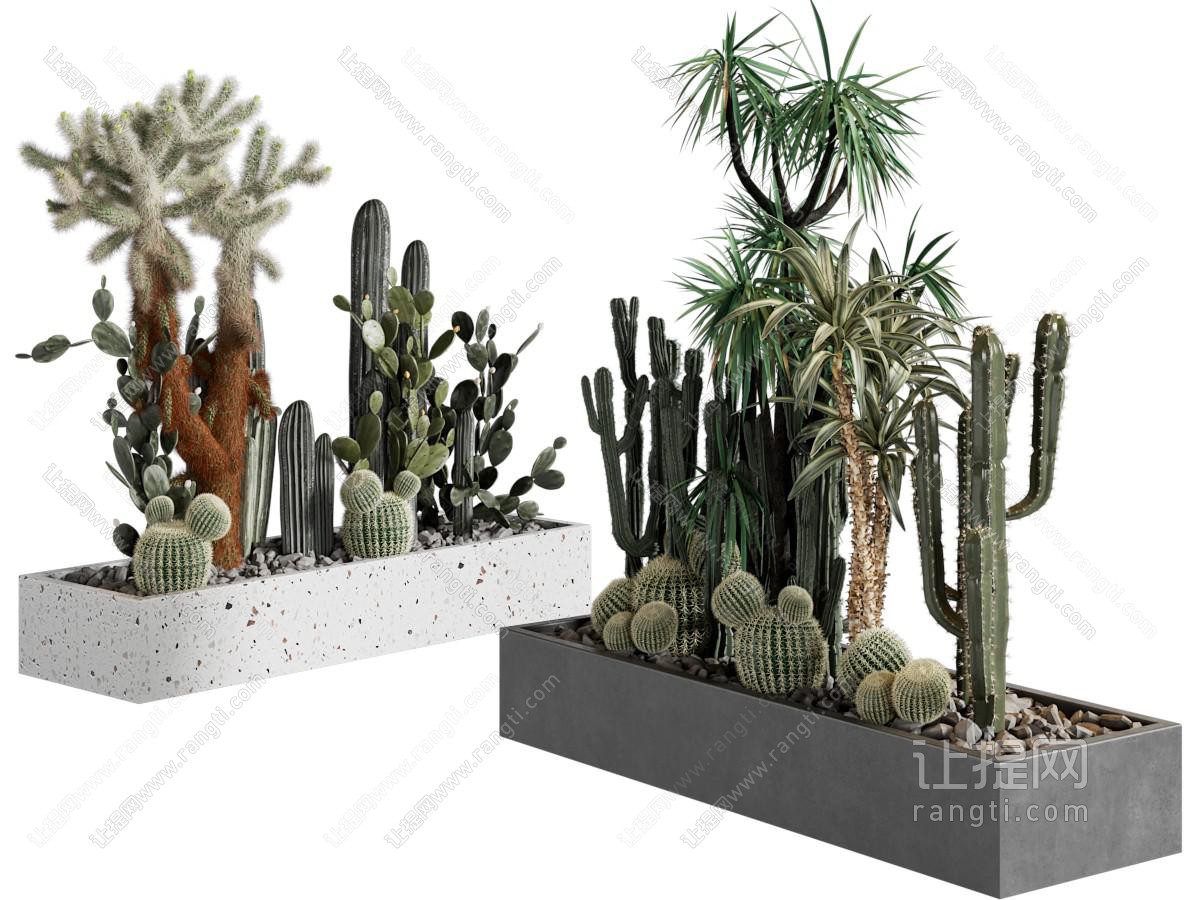 现代户外花坛多肉植物