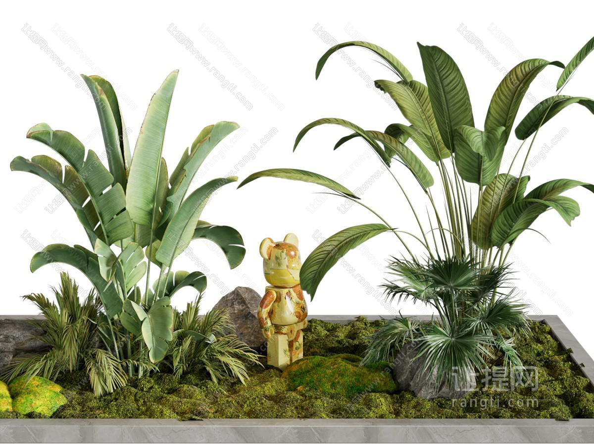 现代花草、芭蕉景观园艺小品