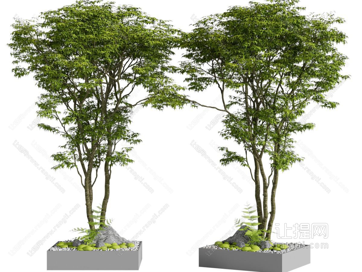 现代水泥花坛景观树木