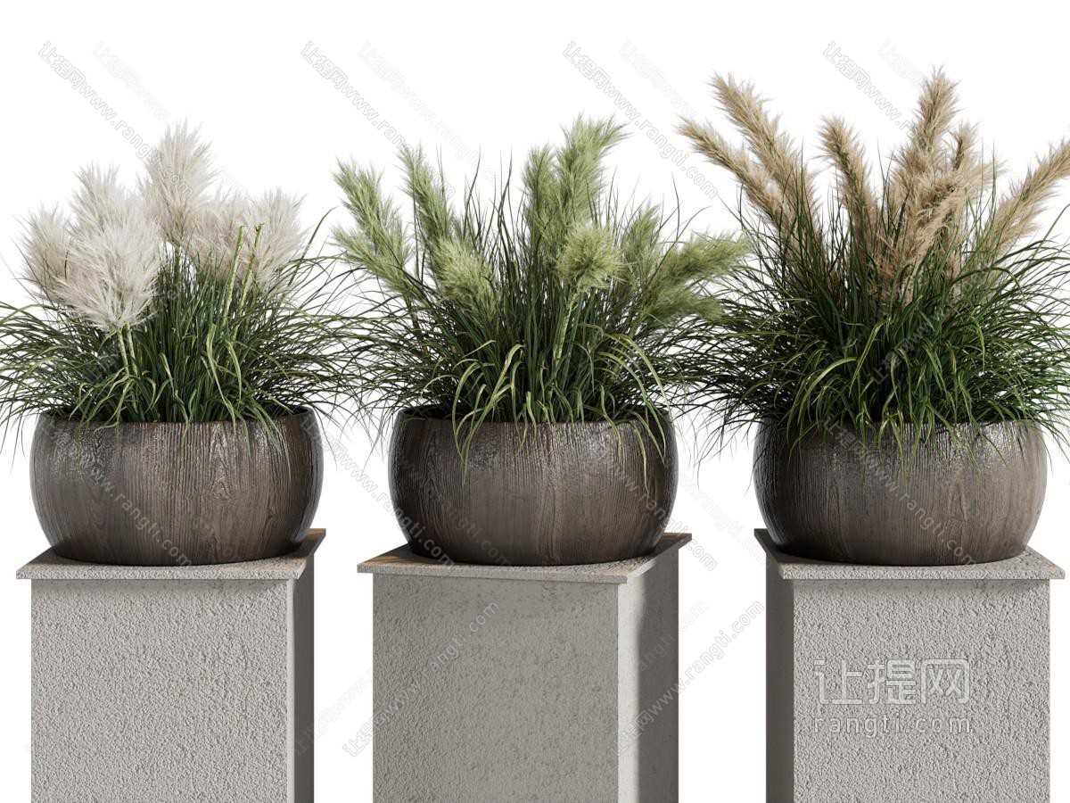 现代盆栽花草植物摆件