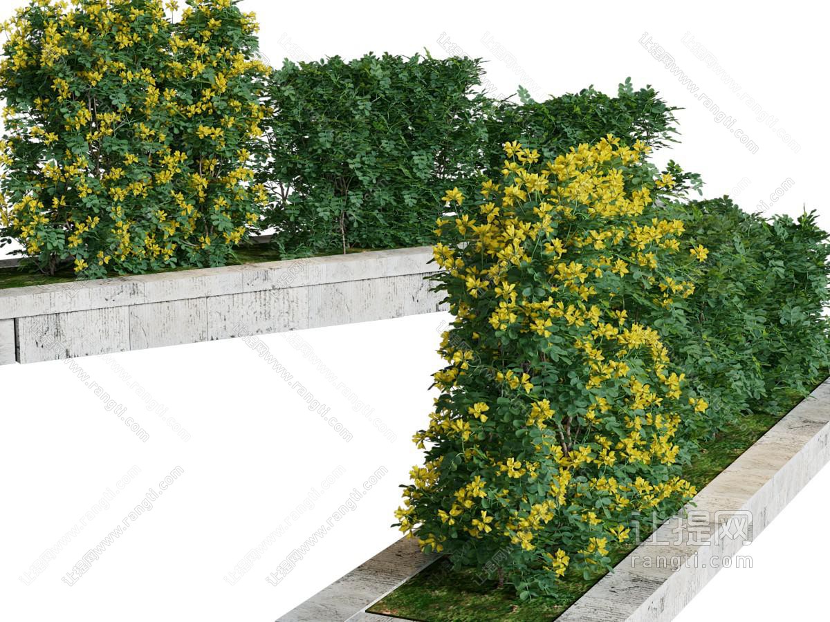 现代花坛花草植物景观园艺小品