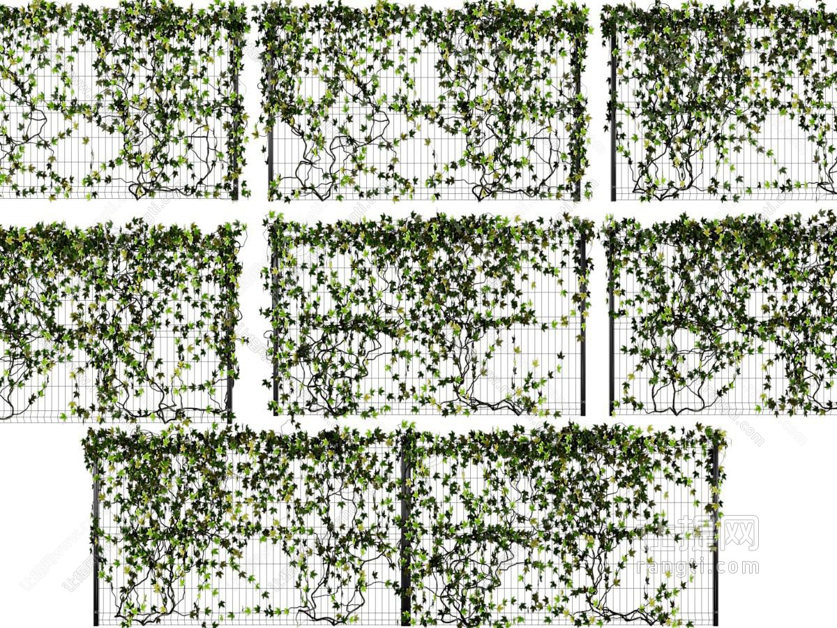现代植物墙、藤蔓植物