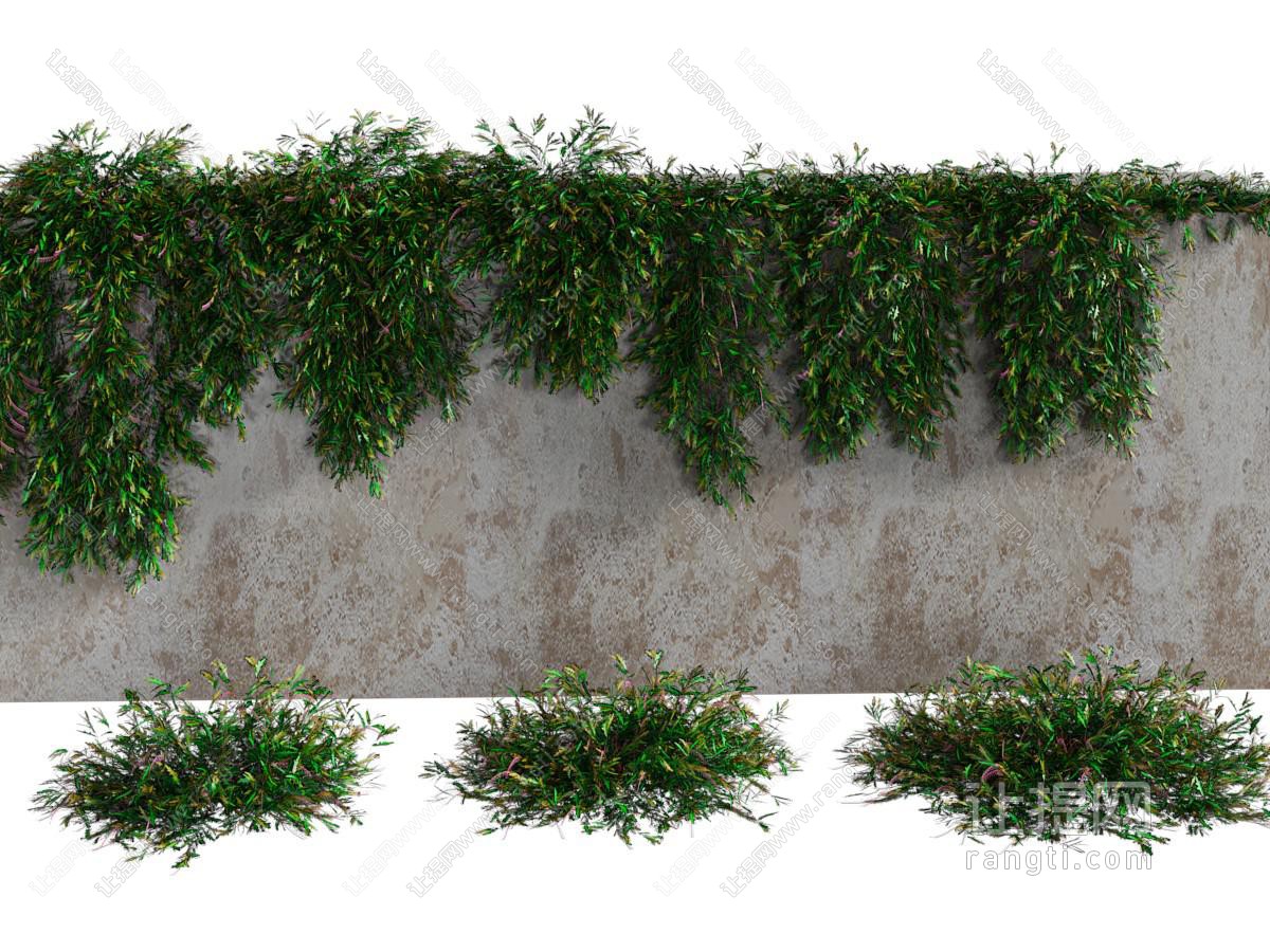 现代爬满墙头的藤蔓植物、花草植物