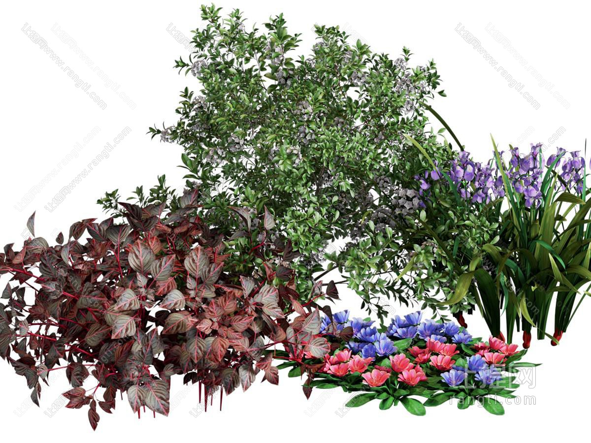 现代花草花卉植物