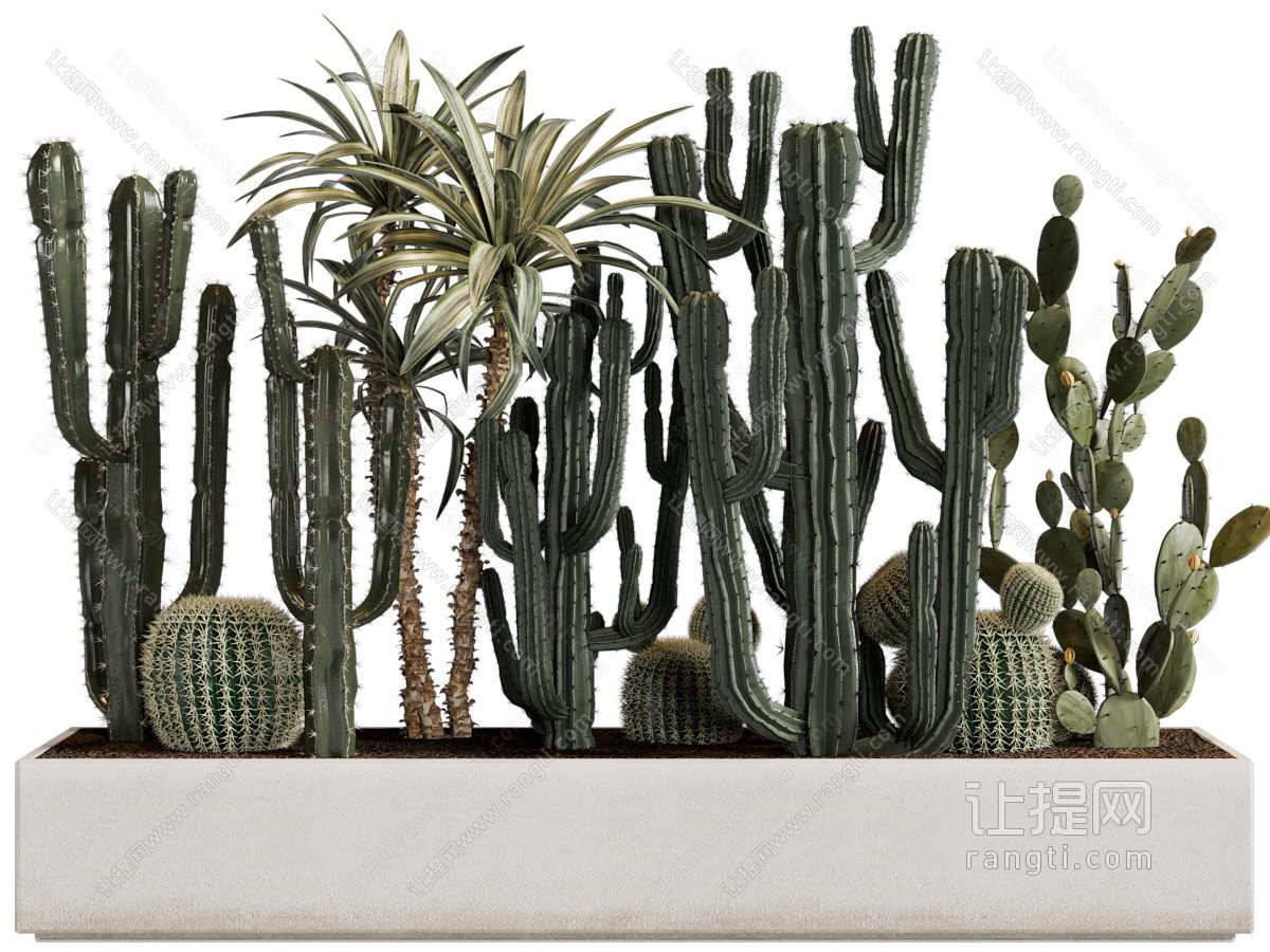 现代花坛多肉植物景观小品