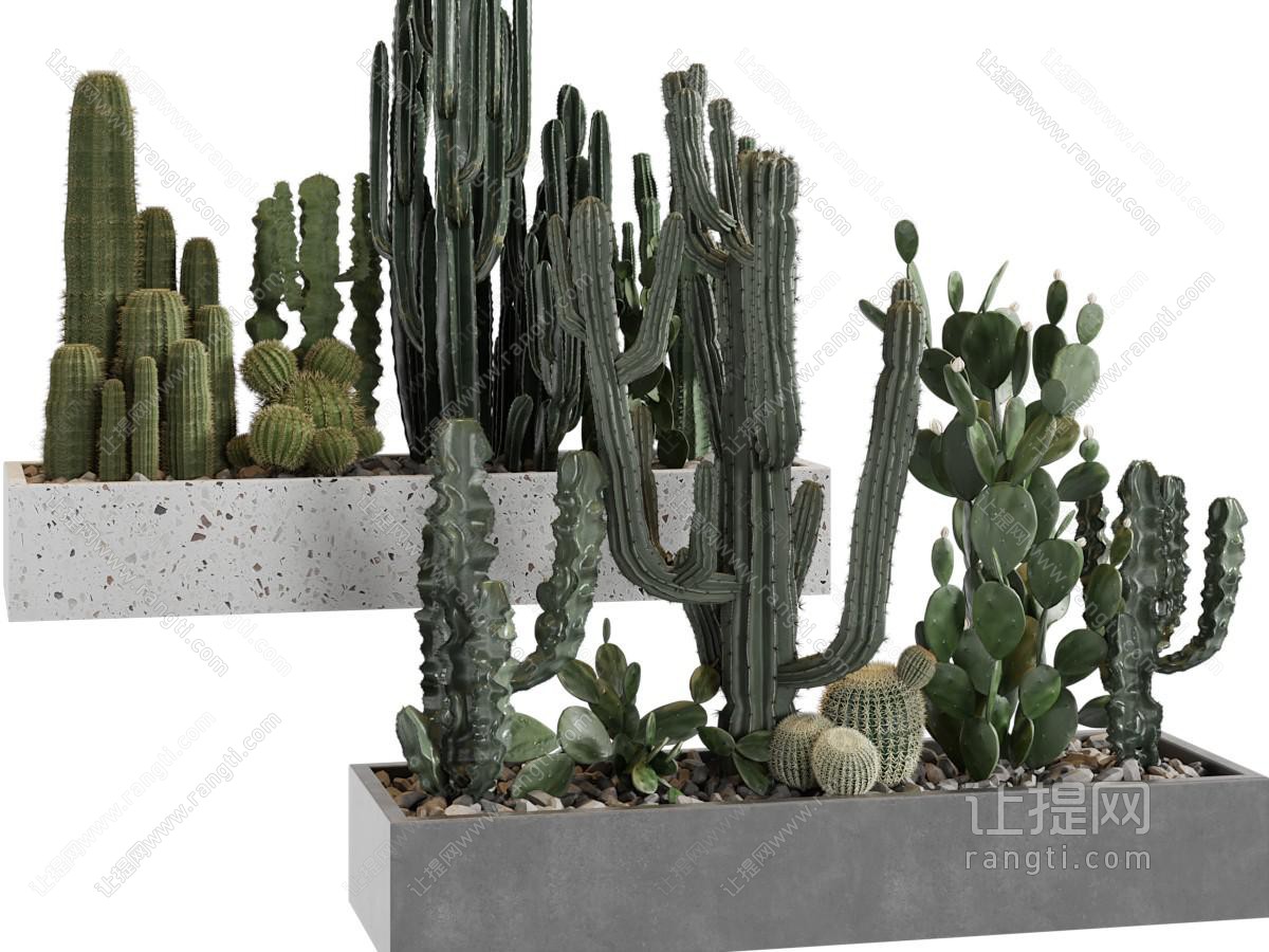 现代花坛多肉植物景观园艺小品