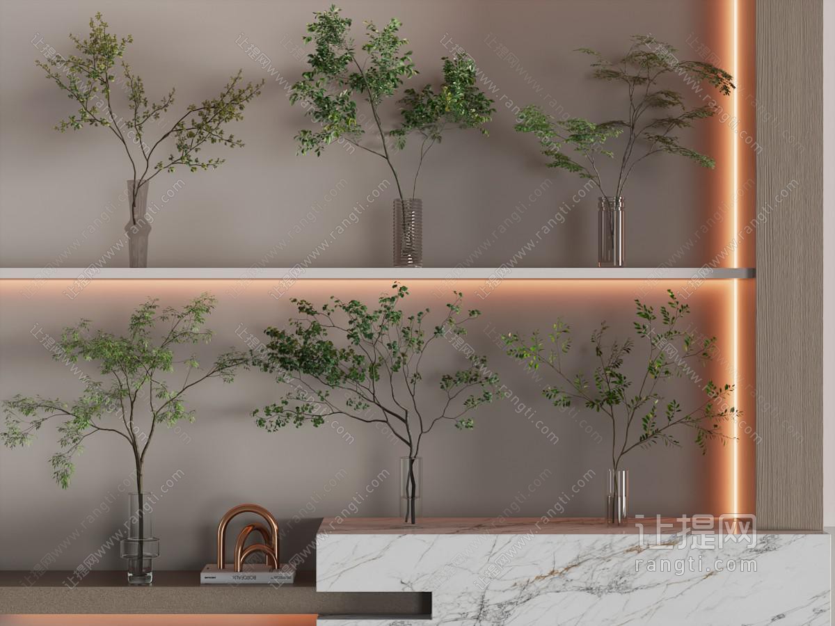 现代花瓶马醉木展示柜