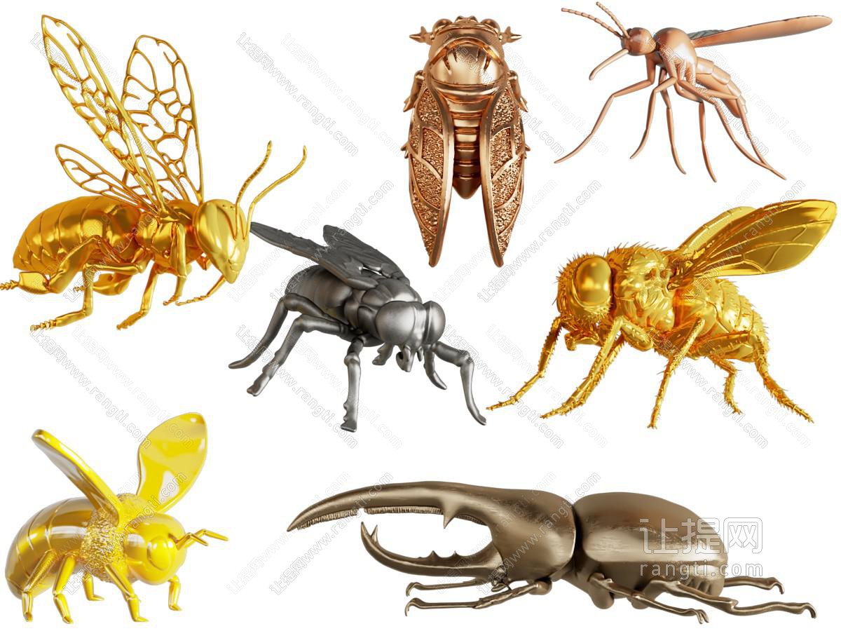 现代苍蝇、蜜蜂、蝉、金龟子昆虫动物